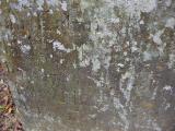 image of grave number 174391